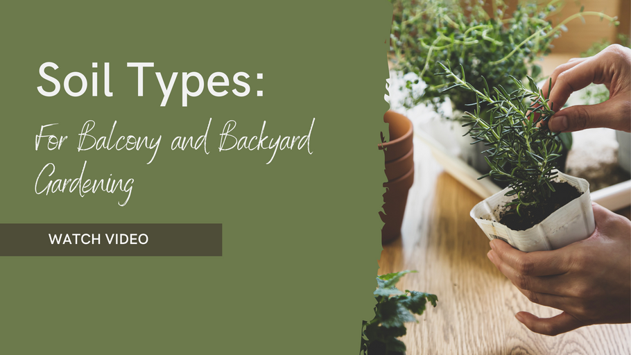 Everything you need to know about soil types