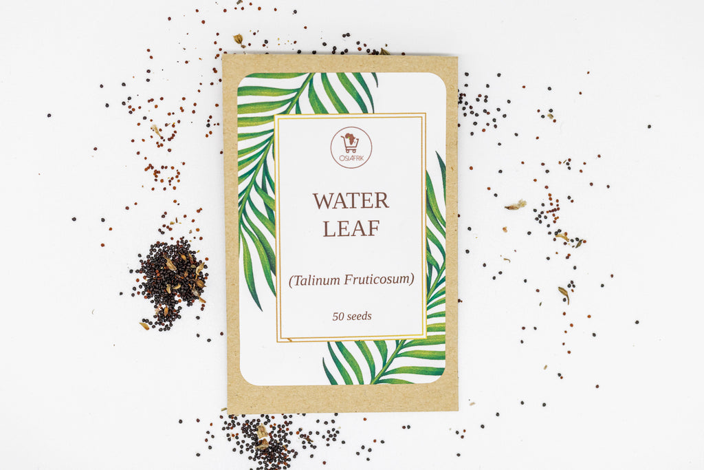 Gbure Nigerian Waterleaf (Gbure) Seeds – OsiAfrik