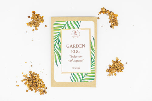 Nigerian Garden Egg Seeds