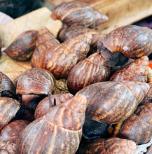 Fresh Frozen Snails - 1 lb **order separately**